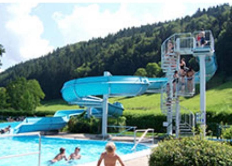 Fewo Alpenwiese Mit Hallenbad&Sauna Missen-Wilhams Eksteriør bilde